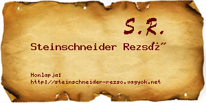 Steinschneider Rezső névjegykártya